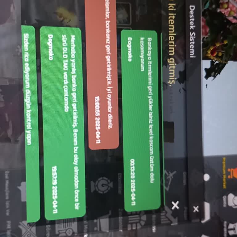 Oyun Hatası Ve Kaybolan Eşyalar: Mağduriyetim Giderilmiyor!