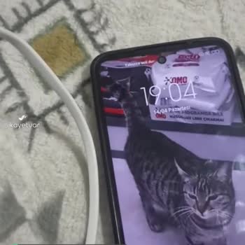 Polosmart Powerbank Hiçbir Şekilde Ne Şarj Alıyor Ne Şarj Veriyor!
