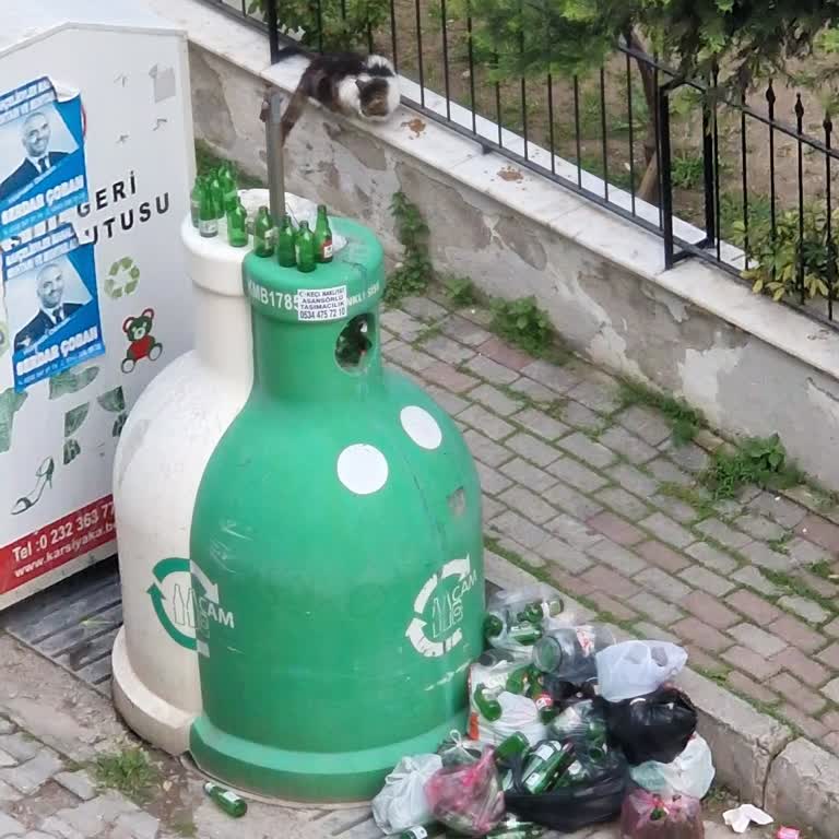 Geri Dönüşüm Kutusu Taşıyor: Şişeler Alınmıyor!