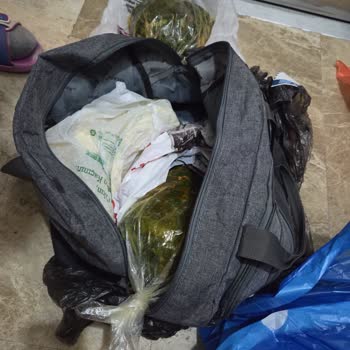 THY İle 11 Saatlik Kabus: Gecikme, Valiz Kaybı Ve Zarar