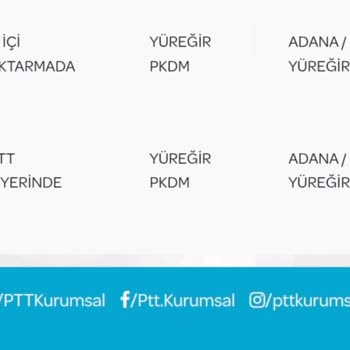 PTT Kargo: Ehliyet Kartı Teslimatında Büyük Gecikme