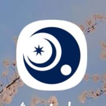 Sahte Forex Yatırımı Azmut Proftoy Şikayeti