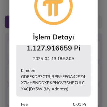 Pi Network Cüzdanında İzinsiz Transfer Mağduriyeti