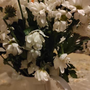 Bayat Çiçeklerle Hayal Kırıklığı