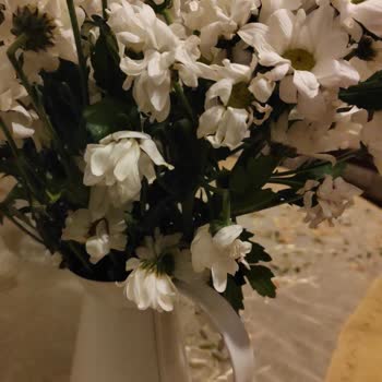 Bayat Çiçeklerle Hayal Kırıklığı