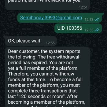 Yüklediğim Para Sistemde Kilitlendi!