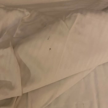 Lady Travel İle Mısır Turunda Hayal Kırıklığı