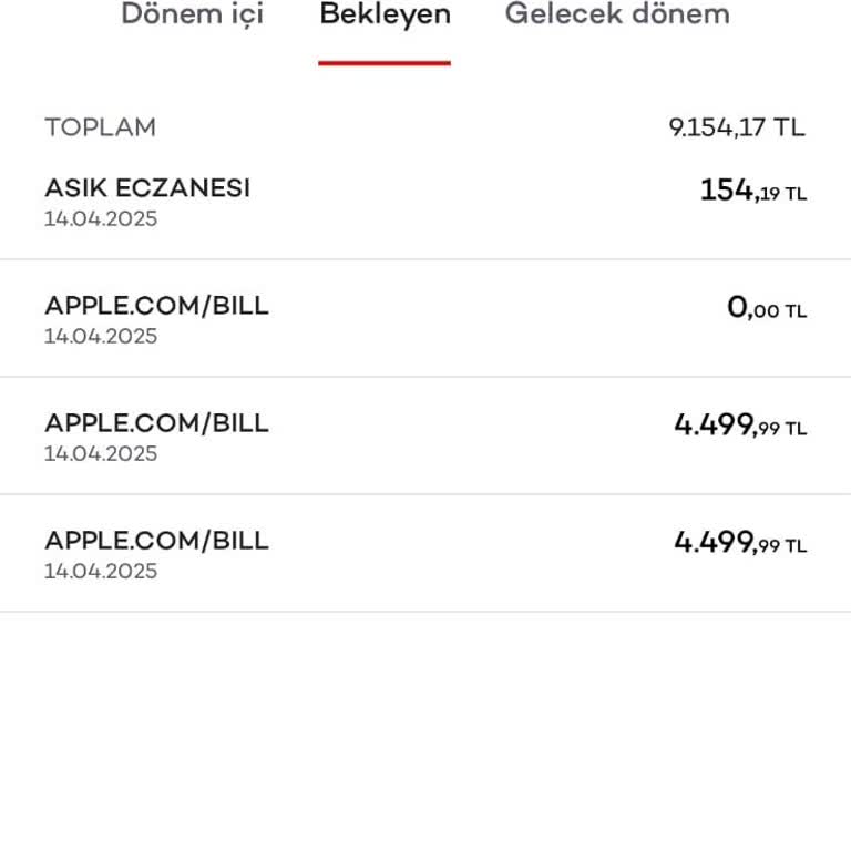 Yetkisiz Harcama: Akbank Axess Kredi Kartı Sorunu