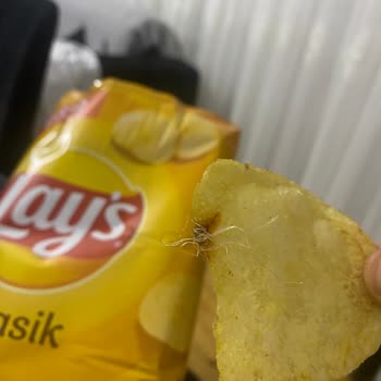 Cips Paketinde Hijyen Sorunu