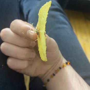 Cips Paketinde Hijyen Sorunu