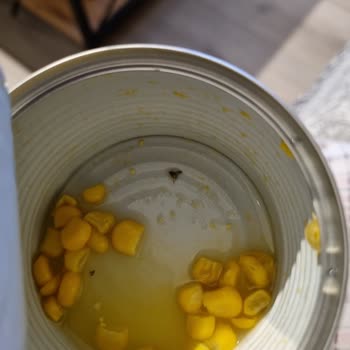 Konserve Mısırda Böcek Şoku: Tukaş Ürünü Güven Vermiyor