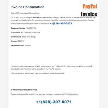 PayPal Üzerinden Bilgim Dışında Kesilen Fatura Şoku