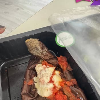 Profesyonellikten Uzak Hizmet