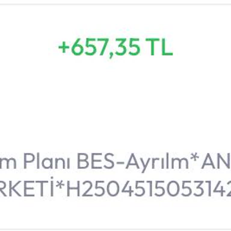 BES Hesabında Yaşanan Sorun Ve Mağduriyet