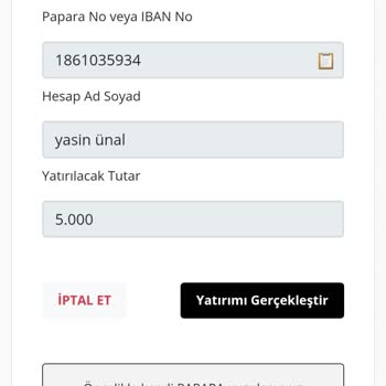 Güvenilirlik Sorunu Ve Yatırım Sınırı Yanıltmacası