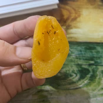 Çitlekçi'den Aldığımız Kayısılar Kurtlu Çıktı!