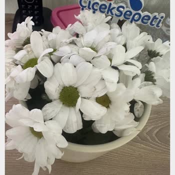 Solmuş Çiçekler Ve İlgisiz Müşteri Hizmetleri