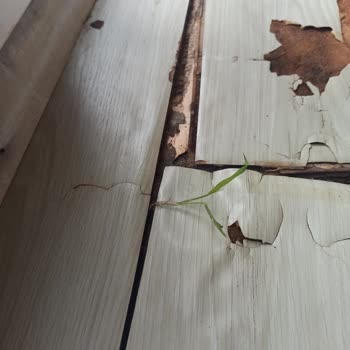 Ekspertiz Raporundaki Yetersizlik Mağduriyet Yaratıyor