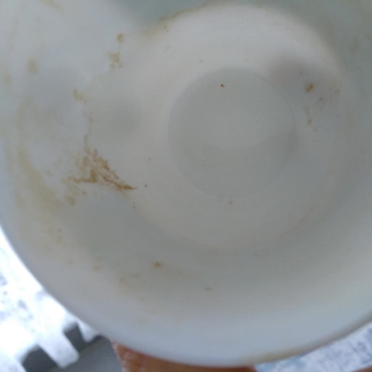 Porselen Bardakta Kalıcı Telve Ve Çay Tadında Sorun