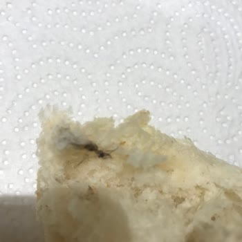 Mupa Taş Fırın  Ekmekten Yabancı Madde Çıktı!