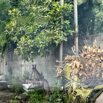 DİB Sokağında Trafik Ve Güvenlik Tehlikesi: İnşaat Atıkları Ve Ağaç Dalları