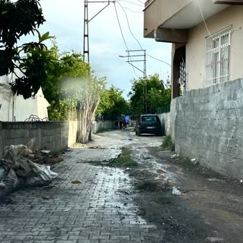 DİB Sokağında Trafik Ve Güvenlik Tehlikesi: İnşaat Atıkları Ve Ağaç Dalları