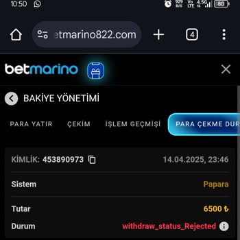 Gece Yarısı Hesap Şoku: İstenmeyen Oyun Alımı