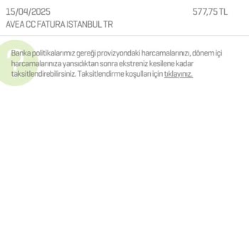 Yurt Dışındayken Bilgim Dışında Yapılan Harcamalar