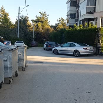 Çöp Konteynerlerinin Sürekli Hasar Görmesi Ve Belediyenin Yetersiz Müdahalesi
