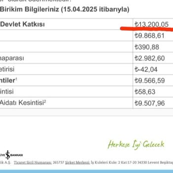 Anadolu Hayat Emeklilikte Gizli Ücret Şoku