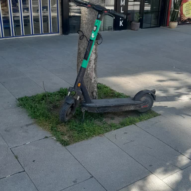 Martı Ağaçlara Zarar Veren Scooter Bağlama Sorunu