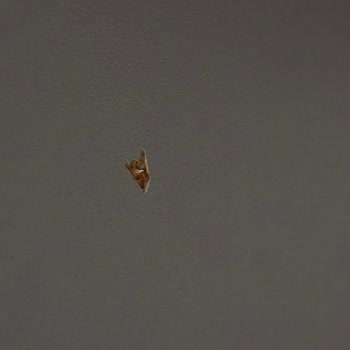 Mobilya Teslimatında Gecikme Ve Kurulum Hataları