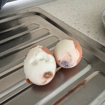 Bozuk Yumurtalarla Karşılaştık: Acil Geri Dönüş Bekliyoruz