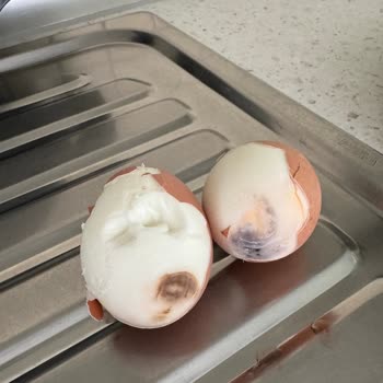 Bozuk Yumurtalarla Karşılaştık: Acil Geri Dönüş Bekliyoruz