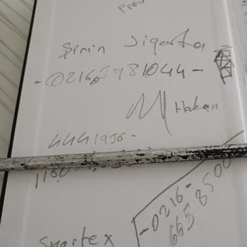 Tamamlayıcı Sağlık Sigortasında Ulaşılamazlık Sorunu