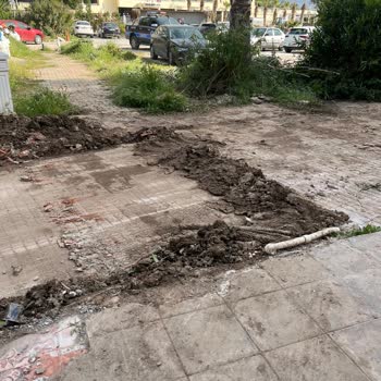 ADM Elektrik Dağıtım'ın Trafo Sonrası Çevre Kirliliği