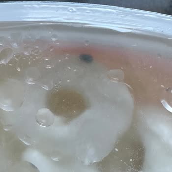 Bahçıvan Peynirde Şaşırtıcı Yabancı Madde