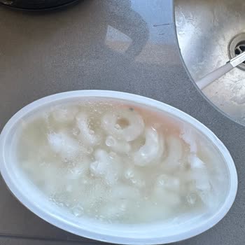 Bahçıvan Peynirde Şaşırtıcı Yabancı Madde