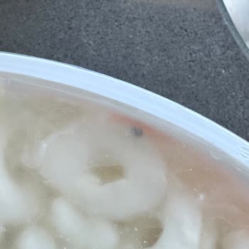 Bahçıvan Peynirde Şaşırtıcı Yabancı Madde