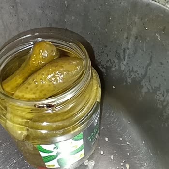 BİM'den Aldığım Turşuda Canlı Böcek Şoku!