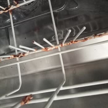 Paslanan Bulaşık Makinesi Seleleri