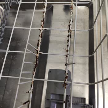 Beko Bulaşık Makinesi Sepetindeki Paslanma Sorunu