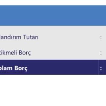 Bankayla Alakam Yokken Görünen Borç Sorunu