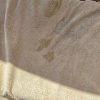 Lady Travel İle Mısır Seyahatinde Hayal Kırıklığı