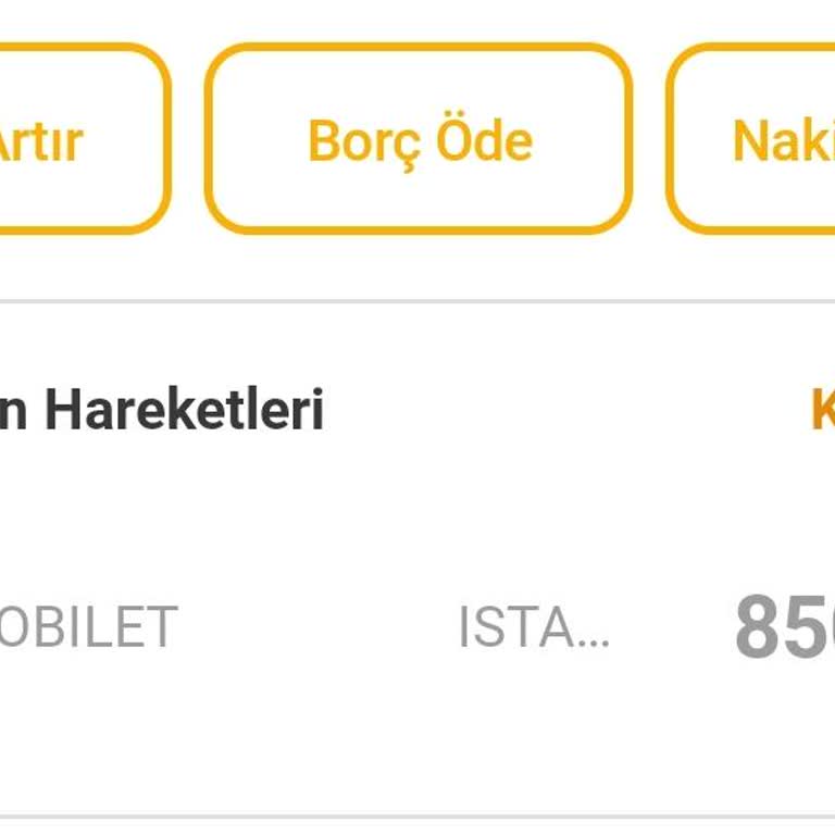 Ödeme Sorunu Ve İade Beklentisi