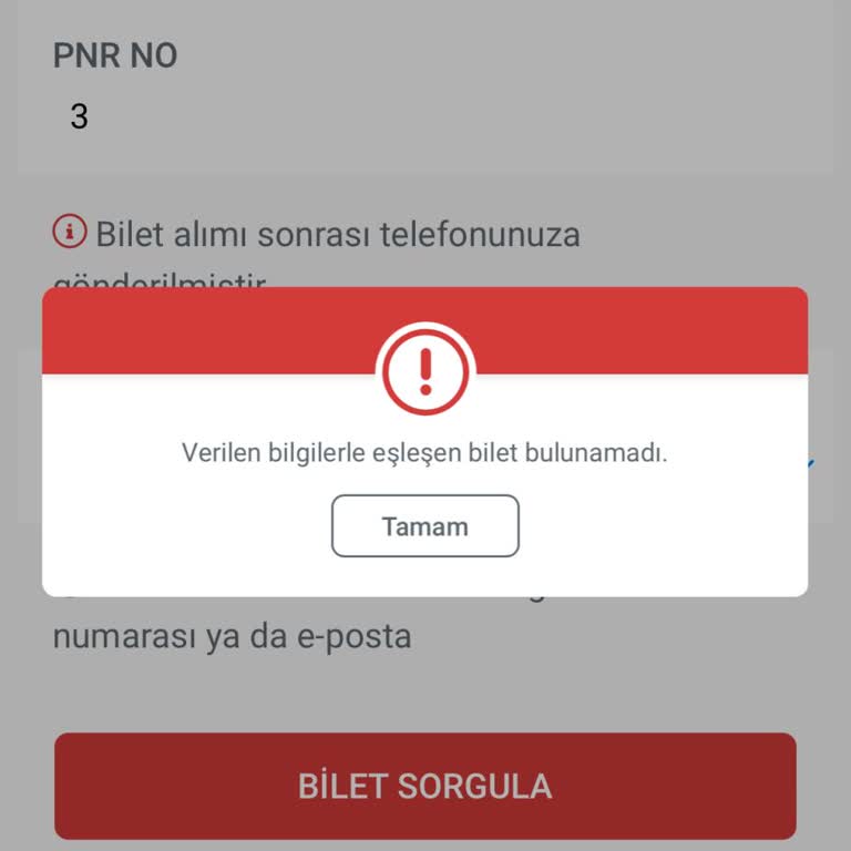 Bilet Bilgileri Gönderilmeyen Müşteri Ve İletişim Sorunları