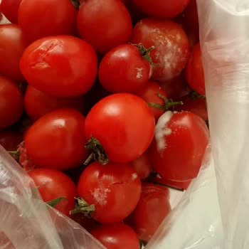 Migros Sanal Market'te Taze Olmayan Ürün Sorunu