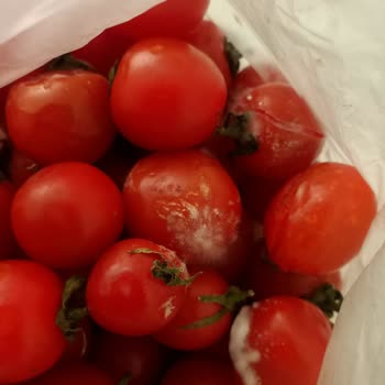 Migros Sanal Market'te Taze Olmayan Ürün Sorunu