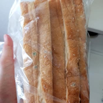 Küflü Tost Ekmeği Şoku: Tüketim Tarihine Güven Kalmadı!