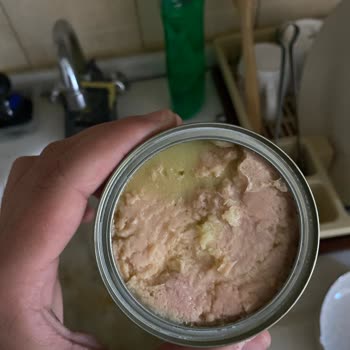 Dondurucu Yağ Sorunu: Zeytinyağlı Ton Balığı